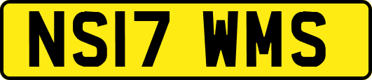 NS17WMS