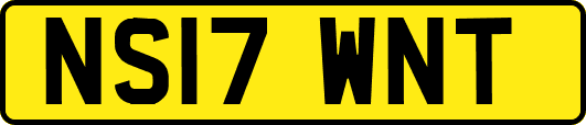 NS17WNT