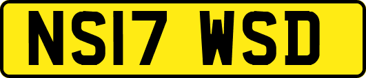 NS17WSD