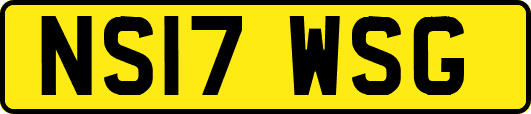 NS17WSG