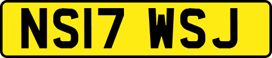 NS17WSJ