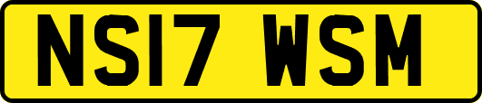 NS17WSM