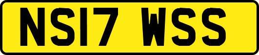 NS17WSS