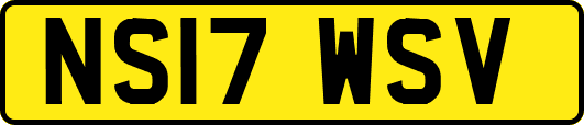 NS17WSV