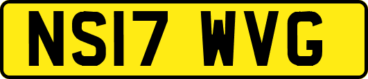 NS17WVG