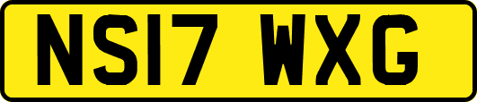 NS17WXG
