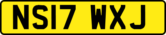 NS17WXJ