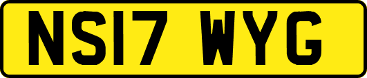 NS17WYG