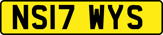 NS17WYS