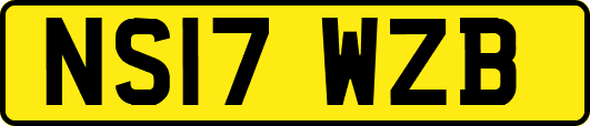 NS17WZB