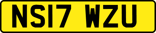 NS17WZU