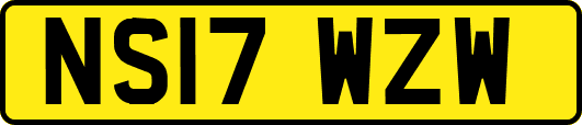 NS17WZW