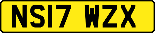 NS17WZX