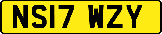 NS17WZY