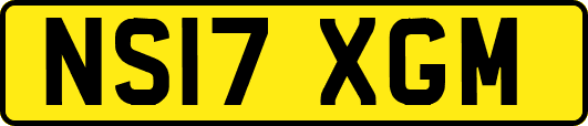 NS17XGM