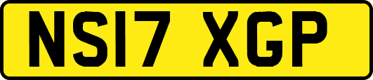 NS17XGP