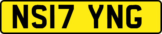 NS17YNG