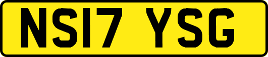 NS17YSG