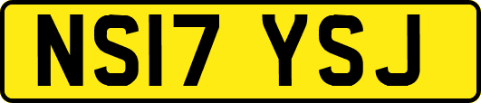 NS17YSJ