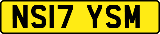 NS17YSM