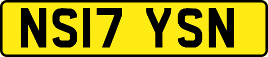 NS17YSN