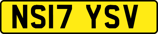NS17YSV