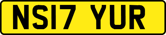 NS17YUR