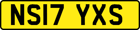 NS17YXS