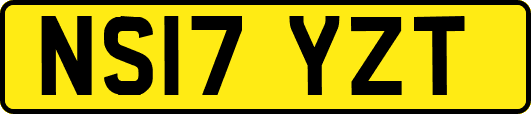 NS17YZT