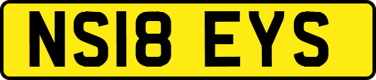 NS18EYS