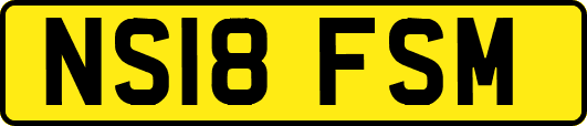 NS18FSM