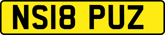 NS18PUZ