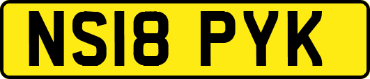 NS18PYK