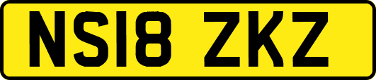 NS18ZKZ