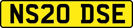 NS20DSE