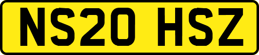 NS20HSZ