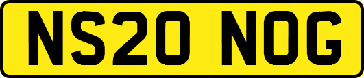 NS20NOG