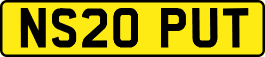 NS20PUT
