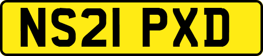 NS21PXD