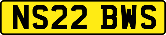 NS22BWS