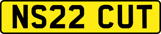 NS22CUT