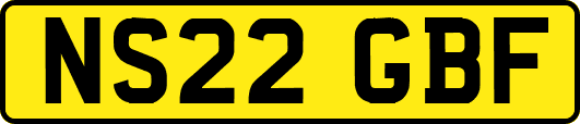 NS22GBF