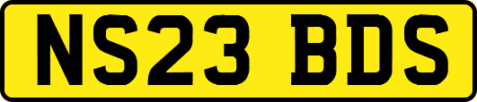 NS23BDS