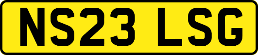 NS23LSG