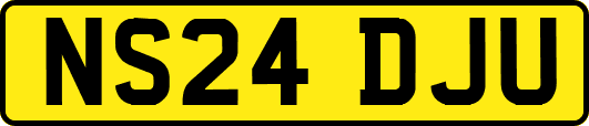 NS24DJU