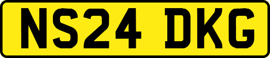 NS24DKG