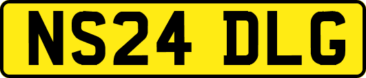 NS24DLG