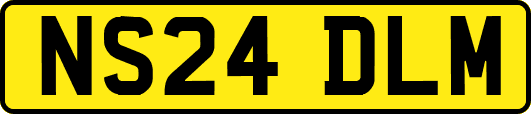 NS24DLM