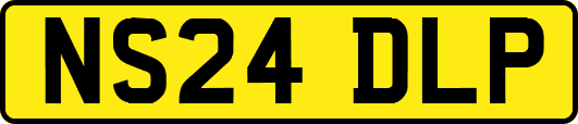 NS24DLP