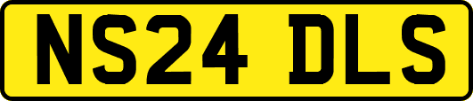 NS24DLS